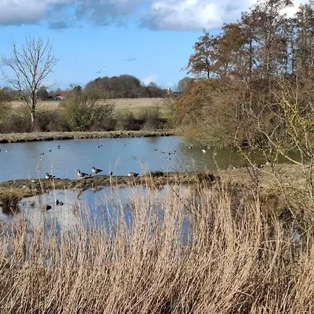 Herter * Butjadingen