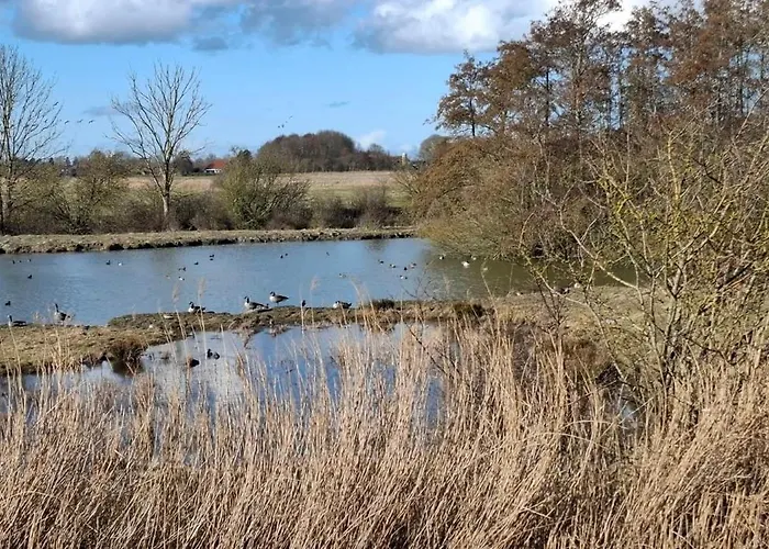 Herter * Butjadingen