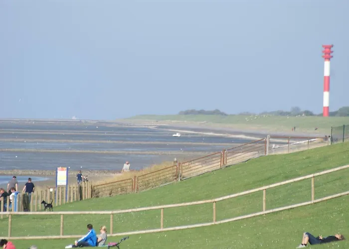 Herter * Butjadingen